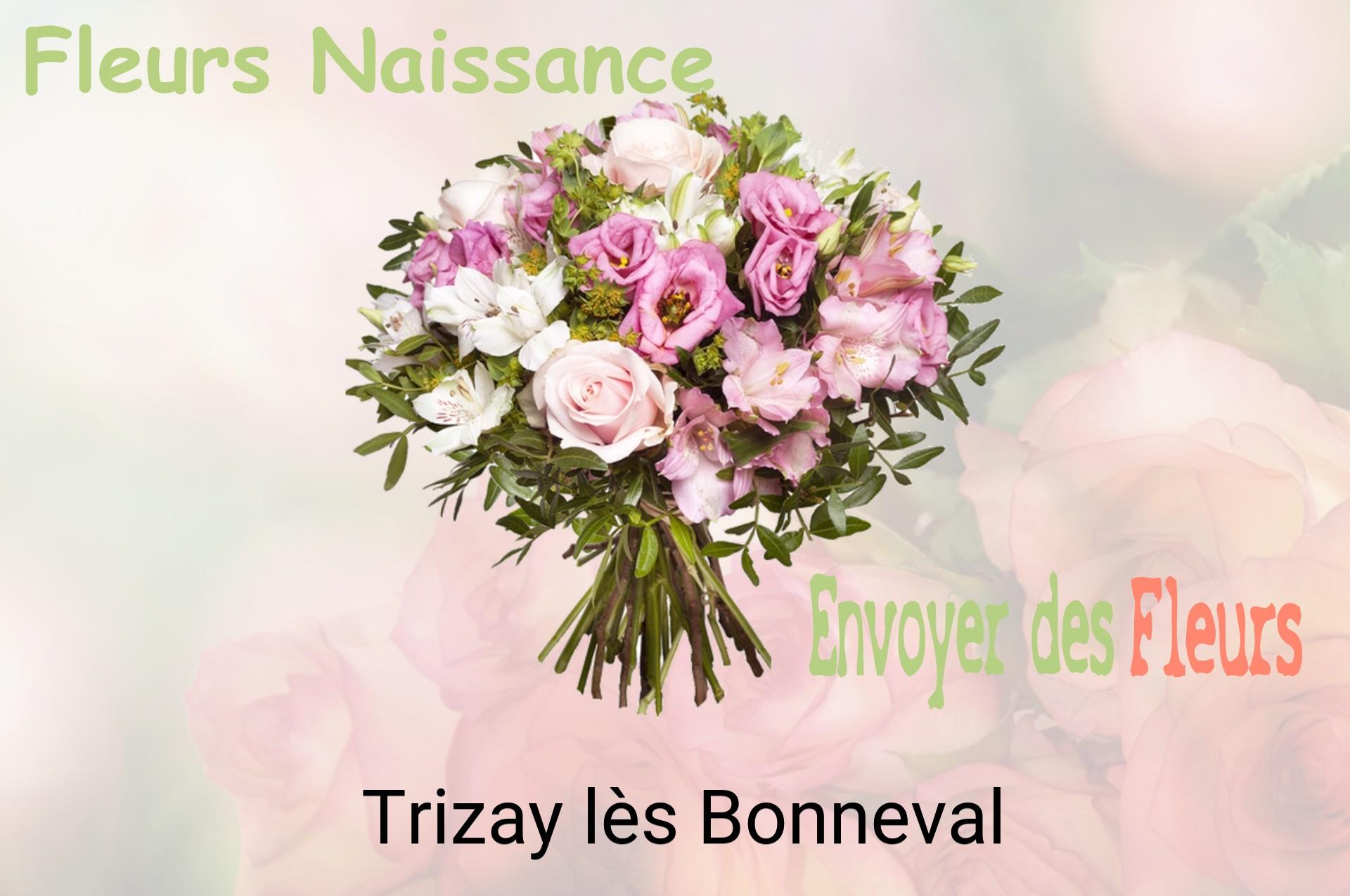 Bouquet de fleurs de naissance livré à Trizay-lès-Bonneval