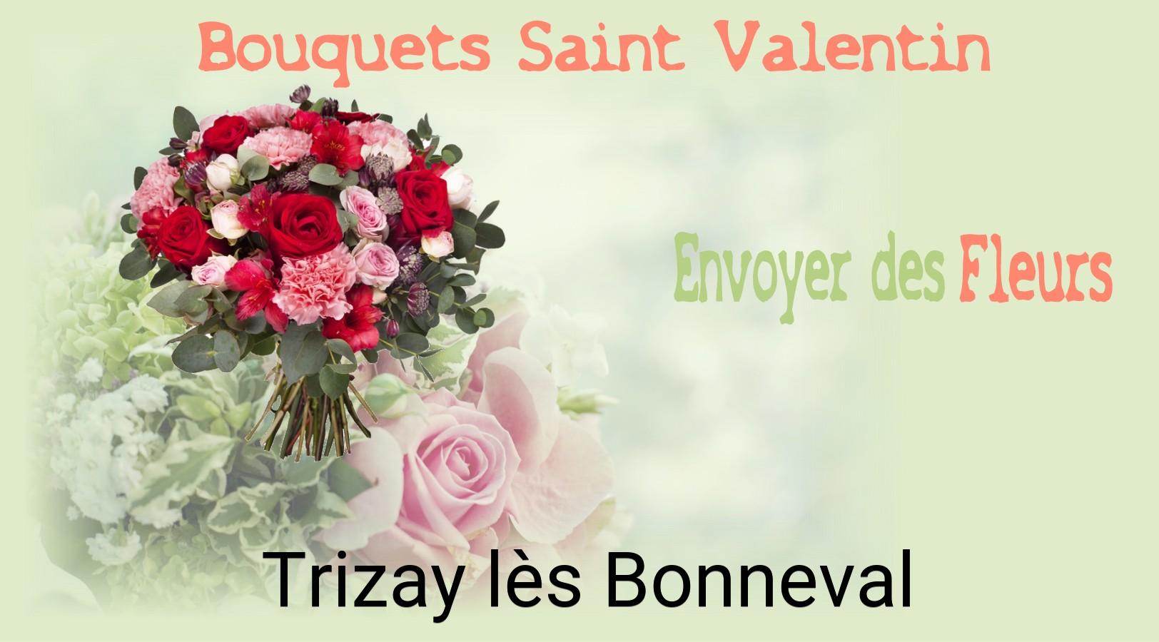 Roses de Saint-Valentin livrées à Trizay-lès-Bonneval