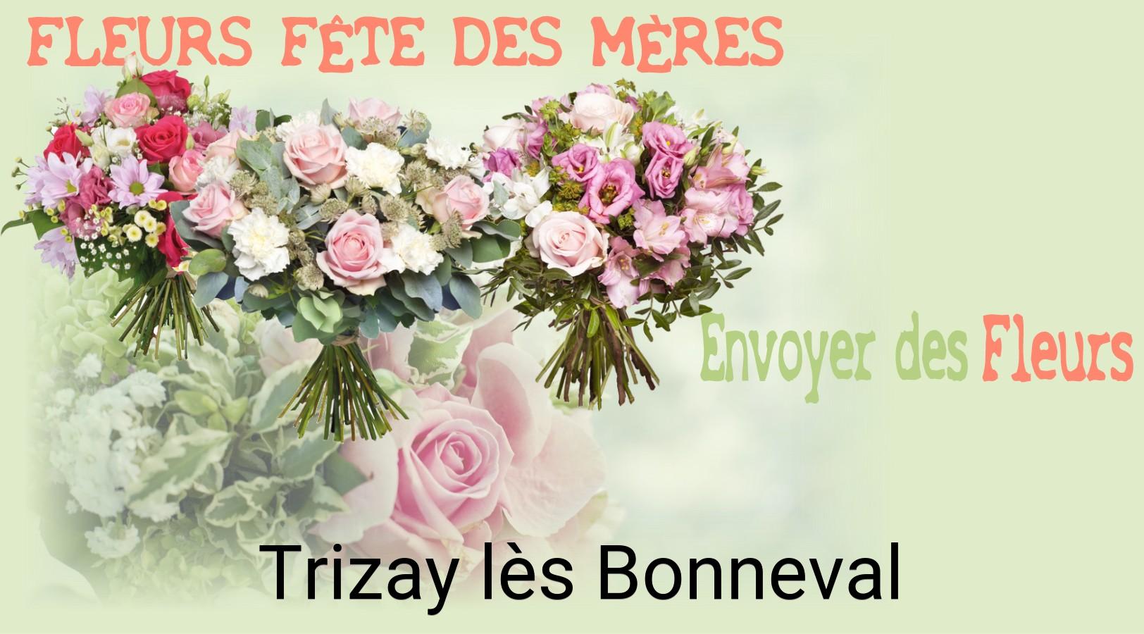 Bouquet de Fête des Mères livré à Trizay-lès-Bonneval